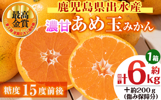 i570 ＜先行予約受付中！2025年11月中旬〜2026年1月下旬の間に発送予定＞【特別栽培・最高金賞】温州みかん日本一！濃甘あめ玉みかん(約6kg・1箱＋傷み保障 約200g(3〜4玉)  みかん 蜜柑 ミカン 柑橘 果物 フルーツ 果実 国産 鹿児島  【Farmer friends Marche】