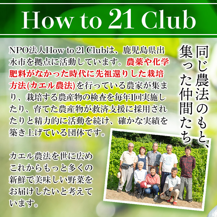 i628 鶴が愛した地で育ったいずみのやさいおまかせ野菜セット(10〜13種類)【How to 21 Club】