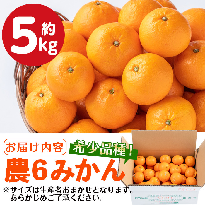 i585-m 【母の日ギフト】農6みかん(約5kg) 果物 フルーツ 柑橘 国産 鹿児島県産 みかん 蜜柑 母の日 プレゼント ギフト 贈答 【江崎果樹園】