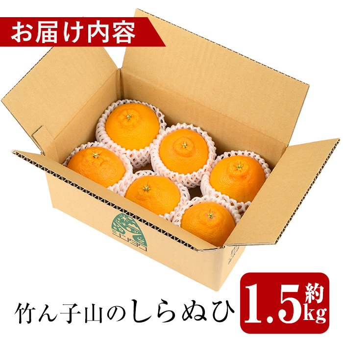 i1339 âªæ°éã»æééå®â«ããã¿ç£ 竹ãåå±±ã®ããã¬ã²(çŽ1.5kg) 鹿å
å³¶ åœç£ ä¹å·ç£ ããã¬ã äžç¥ç« ææ© ãã ãã® ãã«ãŒã æå® ãã€ãŒãµã€ãã©ã€ã³ã