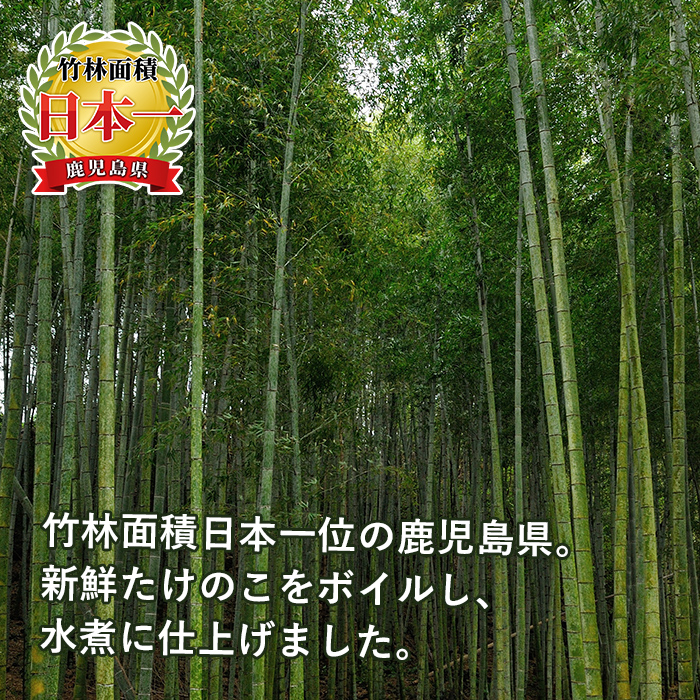 i536 ＜定期便・計4回(2月・5月・8月・11月)＞不揃いのため訳あり！九州産たけのこ水煮＜(計1.6kg・200g×8P)×全4回＞【マツバラ】