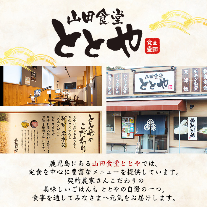 i1075-C いずみどり 親子丼の具 (10袋) 親子丼 レンジ おかず 丼 鶏肉 鶏 卵 冷凍 簡単 調理 電子レンジ 国産 安心 安全 ご飯のお供 手作り 【三喜】