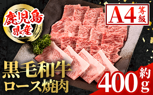 i1001 鹿児島県産 黒毛和牛 ロース焼肉用  (計約400g) 国産 九州産 鹿児島産 黒毛和牛 牛肉 国産牛 ロース 焼肉 焼き肉 BBQ ロース肉 冷凍配送 【スターゼン】