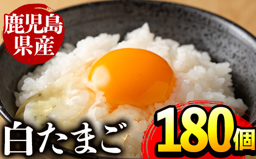 i303 鹿児島県産の白たまご180個(Mサイズ) 業務用 国産 九州産 生卵 卵 たまご 鶏卵 鶏 M玉 TKG 卵焼き 食品 【マルイ食品】