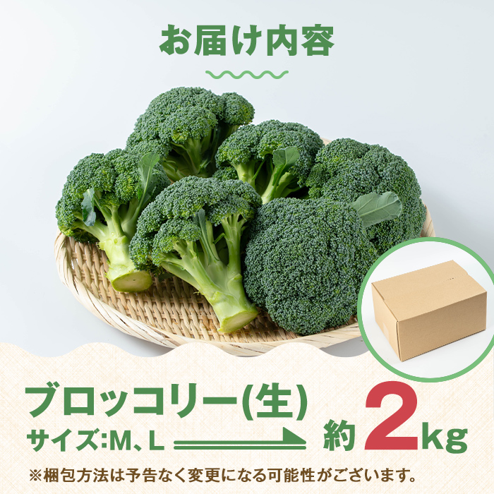 i994 ≪2025年12月上旬～4月下旬の間に発送予定≫ ブロッコリー 約2kg (M～L玉) 鹿児島 出水 国産 生 野菜 ブロッコリー 朝どれ 新鮮 産地直送 JGAP認証 安心安全 【のだ農産】
