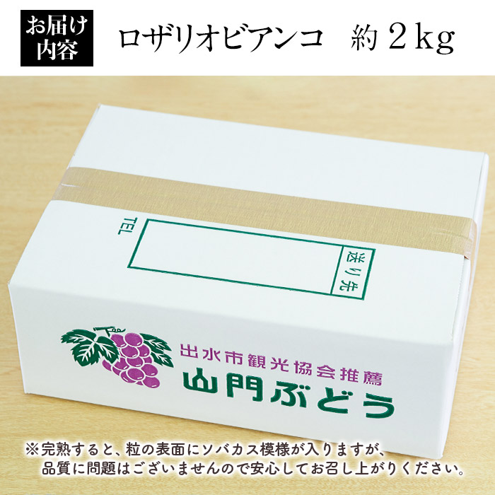 i347 ≪数量・期間限定≫ロザリオビアンコ (計約2kg) ぶどう グレープ 果物 くだもの フルーツ 葡萄 高級 高級品種 旬 すっきりした甘さ 冷蔵 【山門ぶどう園】