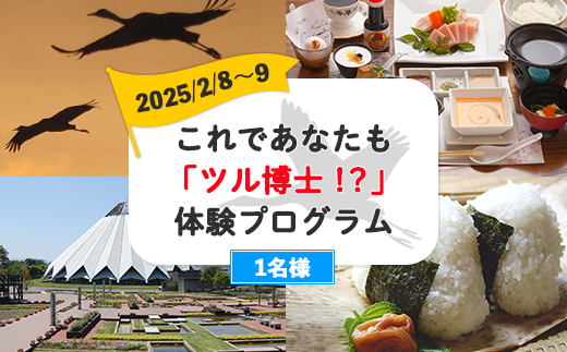 i1009-A 【JALふるさと納税CF限定】これであなたも「ツル博士！？」体験プログラム 1名コース（2025年2月8日～9日） 鶴 観光 宿泊 宿泊券 トラベル 旅行 エコツアー ガイド ご当地グルメ 【出水市観光特産品協会】