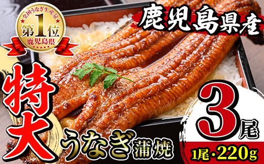 i1078-B-us 【2026年丑の日までに配送】＼特大サイズ／鹿児島県産 うなぎ蒲焼 3尾（約220g×3・計約660g） たれ 山椒付きうなぎ 鰻 ウナギ 特大 特大サイズ 約220g 蒲焼き 国産 鹿児島県産 焼きたて 生産量日本一 真空パック おかず 晩御飯 特別な日 土用の丑の日 【薩摩川内鰻】