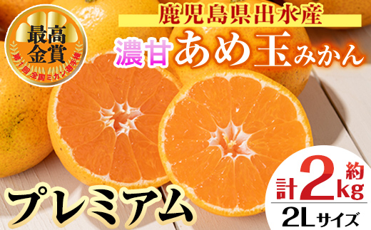 i1059-D ＜先行予約受付中！2025年11月中旬〜2026年1月下旬の間に発送予定＞【特別栽培・最高金賞】温州みかん日本一！濃甘あめ玉みかん〜プレミアム 紡ぎ〜(約2kg・2Lサイズ) みかん 蜜柑 ミカン 柑橘 果物 フルーツ 果実 国産 鹿児島 プレミアム 厳選 ギフト プレゼント 贈答用 贈り物 【Farmer friends Marche】