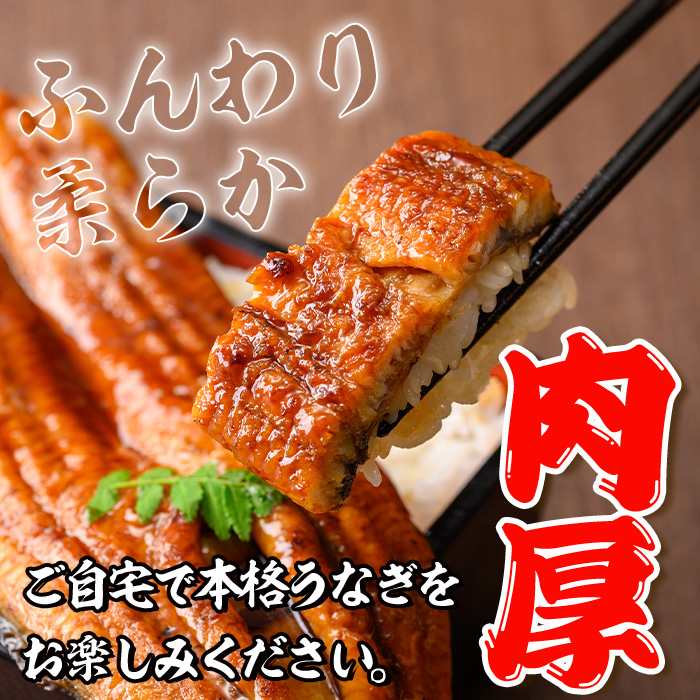 i1078-C-f 【父の日ギフト】＼特大サイズ／鹿児島県産 うなぎ蒲焼 5尾（約220g×5・計約1100g） たれ 山椒付きうなぎ 鰻 ウナギ 特大 特大サイズ 約220g 蒲焼き 国産 鹿児島県産 焼きたて 生産量日本一 真空パック おかず 晩御飯 特別な日 贈答 ギフト プレゼント 父の日 【薩摩川内鰻】