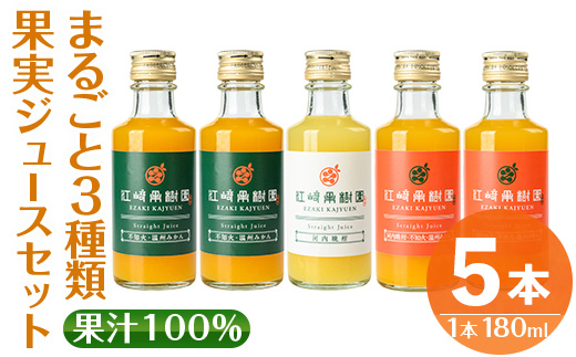 i990-D まるごと３種類果実ジュースセット(180ml×5本・全3種) 飲料 ジュース みかん 蜜柑 詰合せ 果汁 100% 河内晩柑 不知火 温州みかん 無着色 無香料 ストレートジュース 安心安全 ギフト 贈り物 【江崎果樹園】