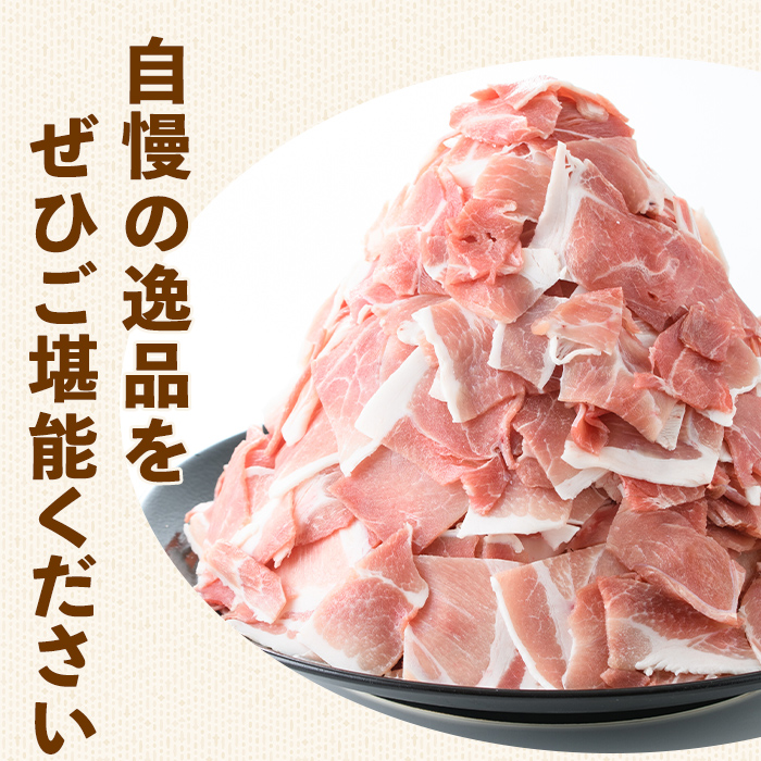 i1062 ä¹å·ç£ è±ã³ãåãè(500gÃ2Pã»èš1kg)ããã³ãã¯ã