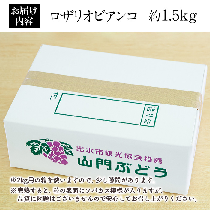 i212 ≪数量・期間限定≫ロザリオビアンコ (計約1.5kg) ぶどう グレープ 果物 くだもの フルーツ 葡萄 高級 高級品種 旬 すっきりした甘さ 冷蔵 【山門ぶどう園】