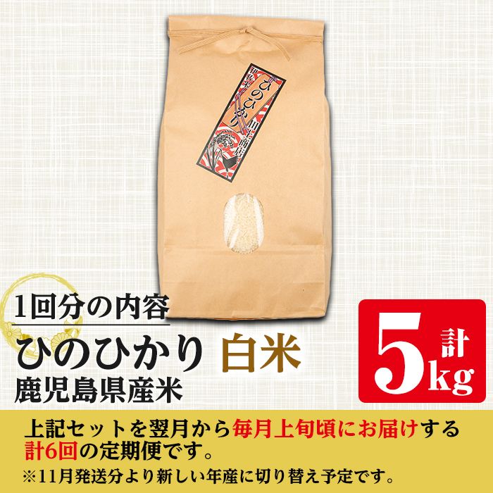 i880-A ＜定期便・計6回(連続)＞≪毎月数量限定≫鹿児島県産米ひのひかり 白米(計30kg・5kg×全6回)【田上商店】