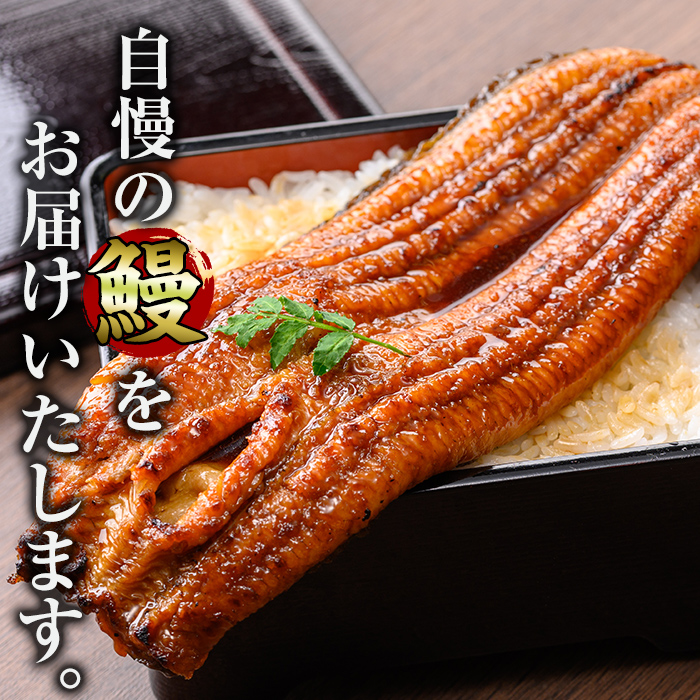 i1172-B ＜定期便・計3回(隔月)＞＼特大サイズ／鹿児島県産 うなぎ蒲焼 2尾セット＜（約220g×2・計約440g）×全3回＞ 定期便 たれ 山椒付きうなぎ 鰻 ウナギ 特大 特大サイズ 約220g 蒲焼き 国産 鹿児島県産 焼きたて 生産量日本一 真空パック おかず 晩御飯 特別な日 土用の丑の日 【薩摩川内鰻】