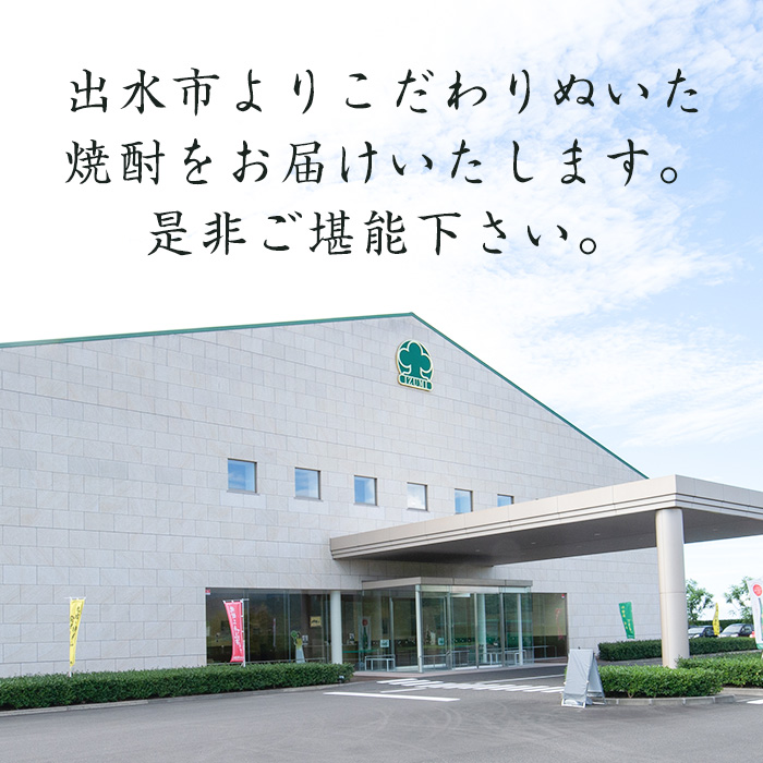 i1149 蜃コ豌エ縺ョ辟シ驟2譛ャ繧サ繝繝(繧ョ繝輔ヨ邂ア莉倥″)シ懷推720mlテ2譛ャシ 辟シ驟 闃狗┥驟 縺企 繧「繝ォ繧ウ繝シ繝ォ 縺頑ケッ蜑イ繧 繝ュ繝繧ッ 豌エ蜑イ繧 螳鬟イ縺ソ 螳カ鬟イ縺ソ 鬟イ縺ソ縺上i縺ケ 繧サ繝繝 鮖ソ蜈仙ウカ 蜃コ豌エ驟帝 譛ャ譬シ辟シ驟 縲仙コ豌エ驟帝 izumi-syuzou縲