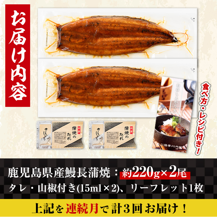 i1172-A シ懷ョ壽悄萓ソ繝サ險3蝗(騾」邯壽怦)シ橸シシ迚ケ螟ァ繧オ繧、繧コシ城ケソ蜈仙ウカ逵檎肇 縺縺ェ縺手調辟シ 2蟆セ繧サ繝繝茨シ懶シ育エ220gテ2繝サ險育エ440gシ嘉怜ィ3蝗橸シ 螳壽悄萓ソ 縺溘l 螻ア讀剃サ倥″縺縺ェ縺 魏サ 繧ヲ繝翫ぐ 迚ケ螟ァ 迚ケ螟ァ繧オ繧、繧コ 邏220g 闥イ辟シ縺 蝗ス逕」 鮖ソ蜈仙ウカ逵檎肇 辟シ縺阪◆縺ヲ 逕溽肇驥乗律譛ャ荳 逵溽ゥコ繝代ャ繧ッ 縺翫°縺 譎ゥ蠕。鬟ッ 迚ケ蛻・縺ェ譌・ 蝨溽畑縺ョ荳代ョ譌・ 縲占湊鞫ゥ蟾晏魏サ縲