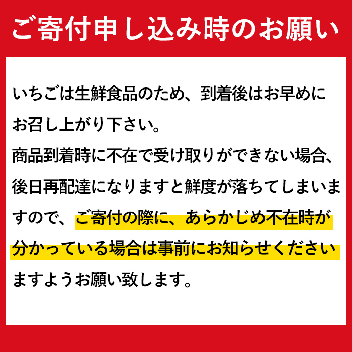 i790 ＜2023年12月中旬から2024年4月下旬の間に発送！＞【期間・数量限定】さがほのか(計約1kg・250g×4P)【山ん神】