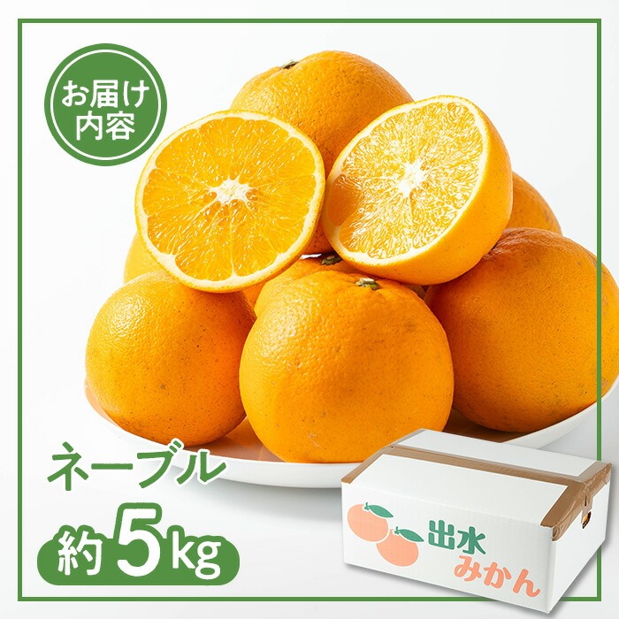 i988 ＜2026年1月下旬以降順次発送予定＞ネーブル (5kg) 訳あり 数量限定 柑橘 果物 くだもの フルーツ 旬 ネーブル ミカン オレンジ 【アーステクノ】
