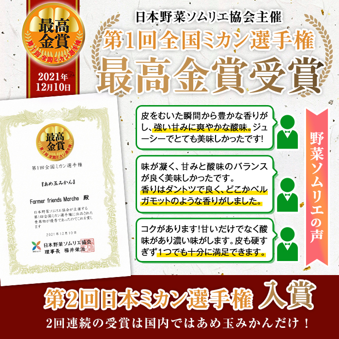 i571 ＜2024年11月下旬～2025年1月下旬の間に発送予定＞【特別栽培・最高金賞】温州みかん日本一！濃甘あめ玉みかん(計約12kg・6kg×2箱＋傷み保障 約200g(3～4玉)【Farmer friends Marche】