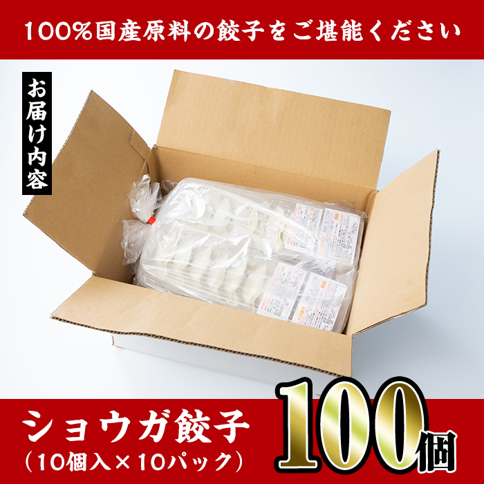 i393-f 【父の日ギフト】国産豚肉使用！手作りショウガ餃子100個セット(10個×10パック たれ付き） 餃子 ぎょうざ ニンニク不使用 しょうが 生姜 冷凍 おかず おつまみ 惣菜 小分け 国産原料 父の日 プレゼント ギフト 贈答 【スーパーよしだ】