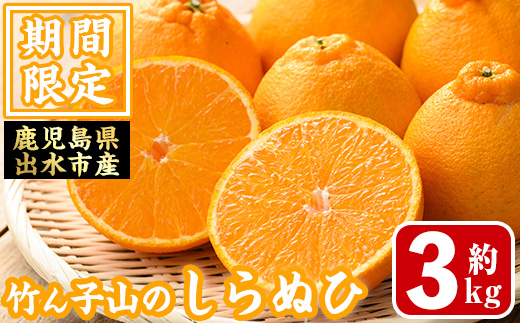 i1339 ≪数量・期間限定≫いずみ産 竹ん子山のしらぬひ(約3kg) 鹿児島 国産 九州産 しらぬい 不知火 柑橘 くだもの フルーツ 果実 【イーサイドライン】