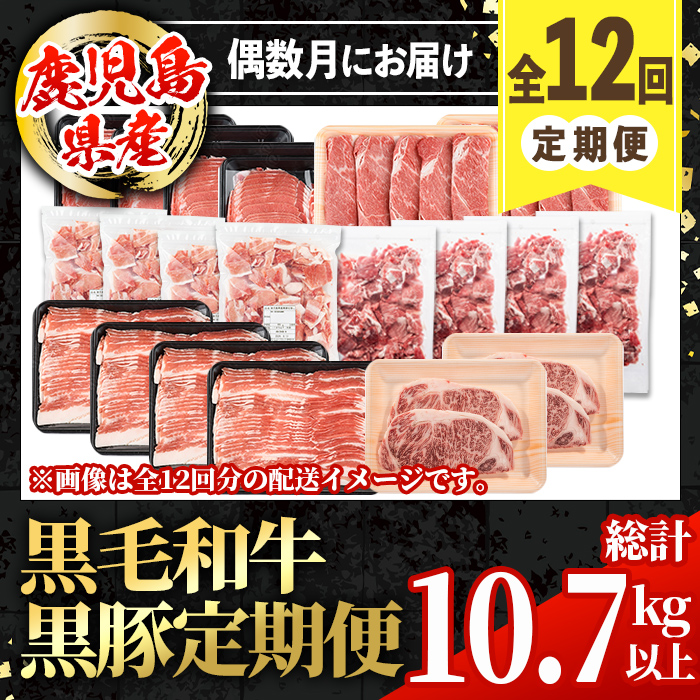 i1008 ＜定期便・計12回(連続)＞黒毛和牛黒豚定期便(総計約10.7kg以上) 国産 九州産 鹿児島産 黒毛和牛 牛肉 国産牛 黒豚 豚肉 サーロイン ステーキ 切り落とし 切落し しゃぶしゃぶ すき焼き 定期便 12回 冷凍配送 【スターゼン】