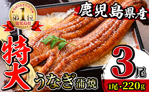 i1078-B ＼特大サイズ／鹿児島県産 うなぎ蒲焼 3尾（約220g×3・計約660g） たれ 山椒付きうなぎ 鰻 ウナギ 特大 特大サイズ 約220g 蒲焼き 国産 鹿児島県産 焼きたて 生産量日本一 真空パック おかず 晩御飯 特別な日 【薩摩川内鰻】