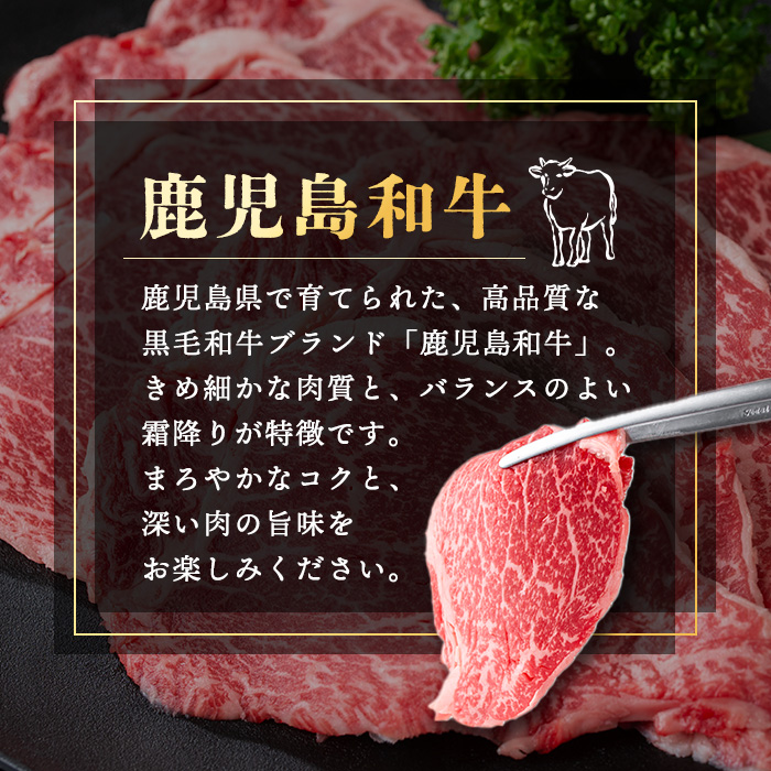 i1190 《毎月数量限定》A4～A5 鹿児島和牛ロース大判焼肉スライス(計500g・250g×2枚) 黒毛和牛 和牛 ロース スライス A4 A5 等級 大判 大きい サイズ 焼肉 用 バーベキュー BBQ 霜降り 国産 鹿児島県産 牛肉 肉 お肉 冷凍 【居食肉】