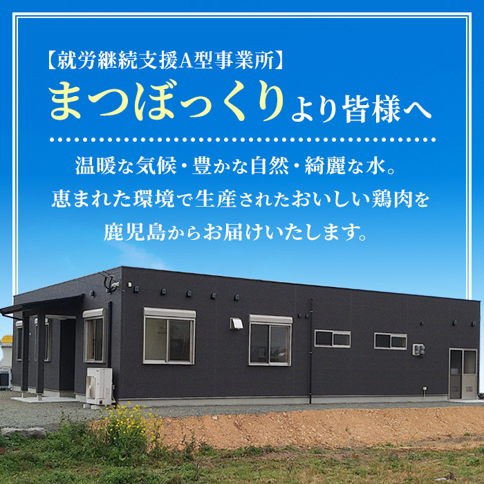 i1087 鹿児島県産 豚ブロック3種セット(計約1.5kg・バラ / ヒレ / ロース 各約500g) 豚肉 ブロック 国産 バラ肉 ヒレ肉 ロース 豚バラブロック 豚ヒレブロック 豚ロースブロック ブロック肉 冷凍 詰め合わせ とんかつ ロースかつ 角煮 トンテキ セット 冷凍 【まつぼっくり】
