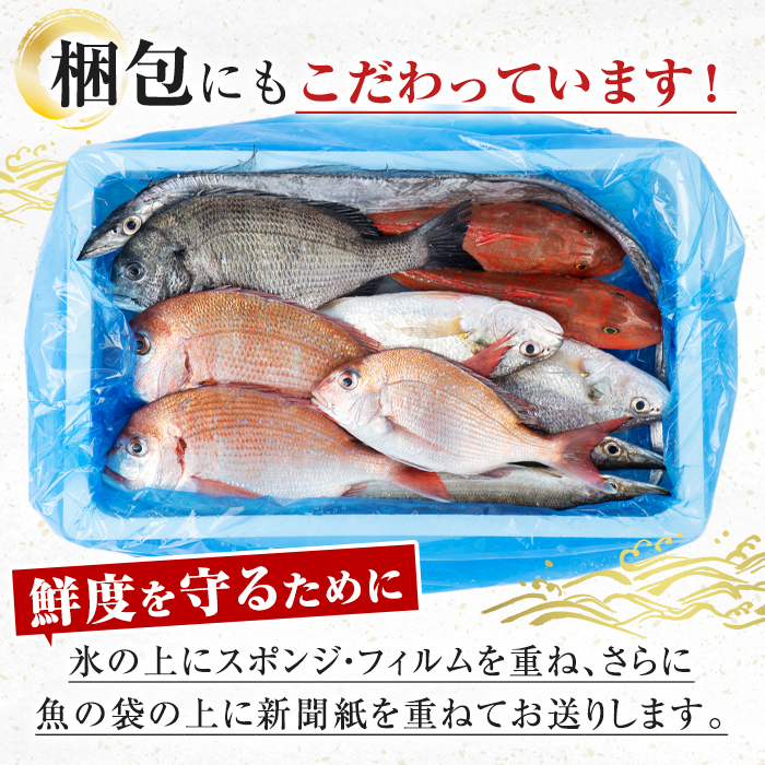 i580 出水の鮮魚おためしBOX(約2〜3kg程度・3〜6種類)【出水はやし】