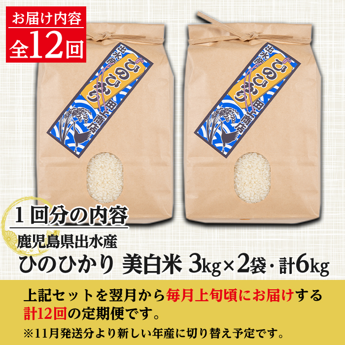 i664 ＜定期便・計12回(連続)＞鹿児島県出水市産ひのひかり美白米＜(3kg×2袋・計6kg)×全12回＞【田上商店】