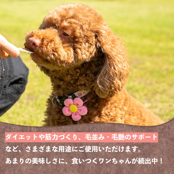 i1345 愛犬用鹿肉ジャーキー(40g) ペットフード エサ ペット ドックフード 肉 鹿肉 ジャーキー 犬 健康管理 ごほうび おやつ 【カノンホールディングス】