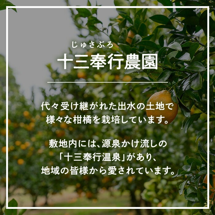 i988 ＜2026年1月下旬以降順次発送予定＞ネーブル (5kg) 訳あり 数量限定 柑橘 果物 くだもの フルーツ 旬 ネーブル ミカン オレンジ 【アーステクノ】