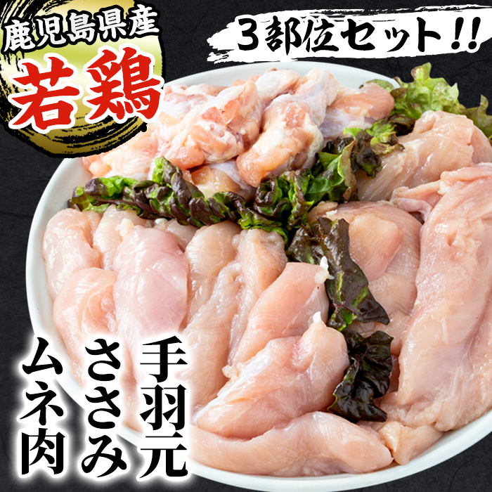 i449 若鶏ムネ肉・手羽元・ささみ(計8kg)鹿児島県産の鶏肉を3種お届け【まつぼっくり】