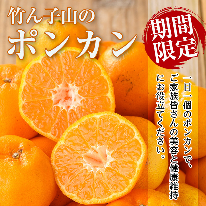 i1342 âªæ°éã»æééå®â«ããã¿ç£ 竹ãåå±±ã®ææ©è©°ãåãã2皮以äž(çŽ3ïœ5kg) 鹿å
å³¶ åœç£ ä¹å·ç£ ã¿ãã ãã³ã«ã³ ãœããã ããã¬ã äžç¥ç« ã¹ã€ãŒãã¹ããªã³ã° ææ© ãã ãã® ãã«ãŒã æå® ã»ãã è©°ãåãã ãã€ãŒãµã€ãã©ã€ã³ã