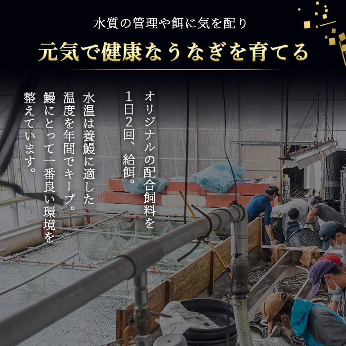 i1078-A ＼特大サイズ／鹿児島県産 うなぎ蒲焼 2尾（約220g×2・計約440g） たれ 山椒付きうなぎ 鰻 ウナギ 特大 特大サイズ 約220g 蒲焼き 国産 鹿児島県産 焼きたて 生産量日本一 真空パック おかず 晩御飯 特別な日 土用の丑の日 【薩摩川内鰻】