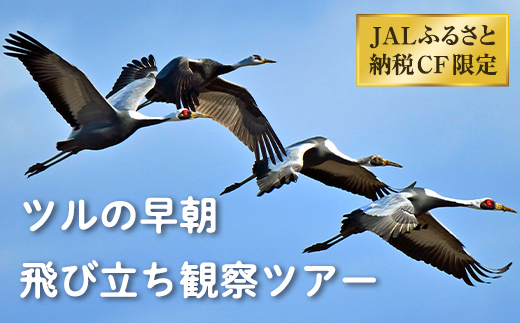 i1138 JALãµãããšçŽçšCFéå® ãã«ã®æ©æé£ã³ç«ã¡èгå¯ãã¢ãŒ é¶Ž ãã« ã€ã 芳å
ãã©ãã« æ
è¡ ãšã³ãã¢ãŒ ã¬ã€ã 芳å¯ãã¢ãŒ æ©æ èªç¶ äœéš ãåºæ°Žåžèгå
ç¹ç£ååäŒã