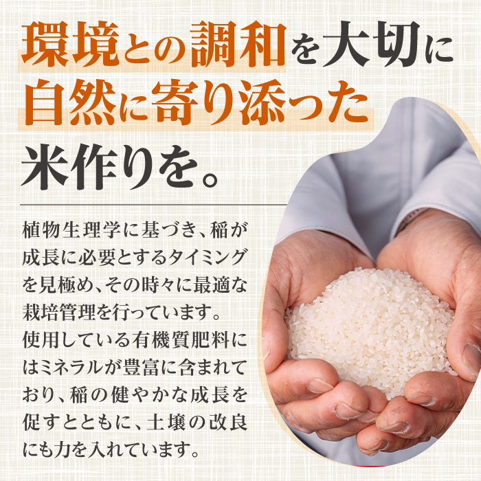 i1179-C 什å7å¹Žç£ é¹¿å
å³¶ç åºæ°Žåžç£ ãªã€ã»ã®ã (èš20kgã»5kgÃ4è¢) ç±³ 20kg ãªã€ã»ã®ã 鹿å
å³¶ 20ãã ãç±³ ä¹å· ä¹å·ç£ çã¿ å€§ç² ãããã¿ãããã³ã