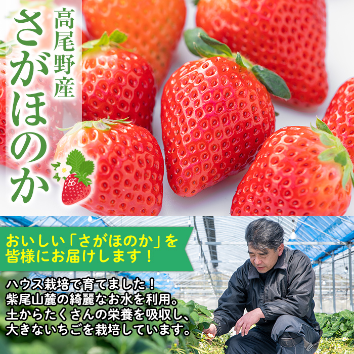 i790 ＜2023年12月中旬から2024年4月下旬の間に発送！＞【期間・数量限定】さがほのか(計約1kg・250g×4P)【山ん神】