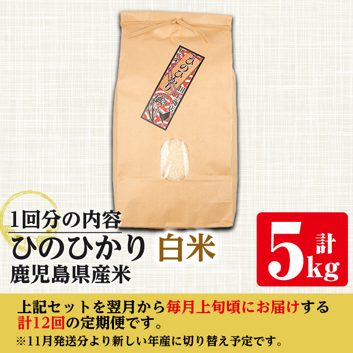 i881-A ＜定期便・計12回(連続)＞≪毎月数量限定≫鹿児島県産米ひのひかり 白米(計60kg・5kg×全12回)【田上商店】