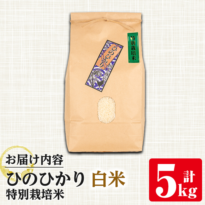 i884-A ≪毎月数量限定≫鹿児島県産米ひのひかり 特別栽培米 白米(計5kg)【田上商店】