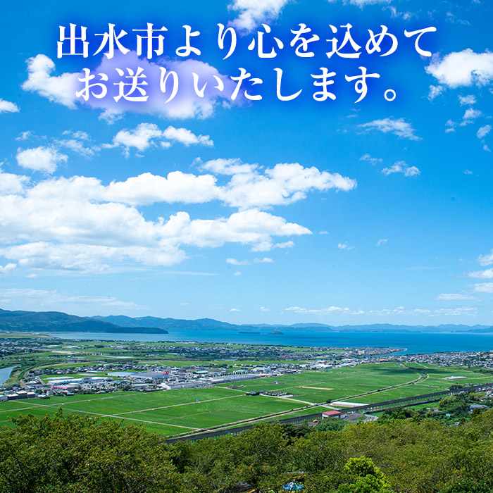 i348 ≪数量・期間限定≫赤嶺(セキレイ) (計約2kg) ぶどう グレープ 果物 くだもの フルーツ 葡萄 旬 糖度 上品な甘さ 歯ごたえ 冷蔵 【山門ぶどう園】