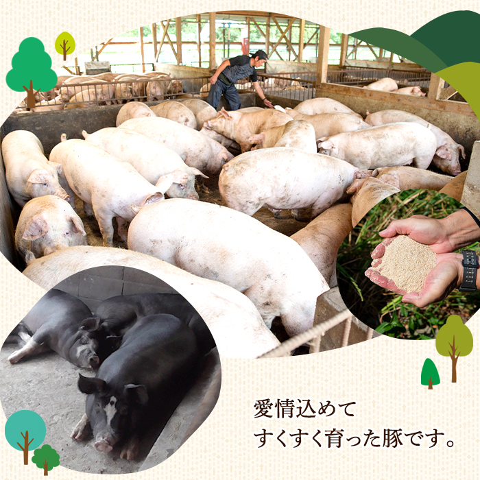 i328 《業務用・訳あり》サラダハム(約1kg×2本・計2kg)国産豚肉の頭肉を塩漬熟成させた風味豊かなプレスハム！サラダのトッピングに【ナンチク】