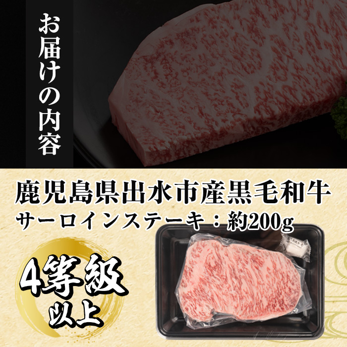 i658 ãæ¯ææ°ééå®ã鹿å
å³¶ç åºæ°Žåžç£ 黿¯åç 4~5ççŽ ãµãŒãã€ã³ã¹ããŒã(çŽ200g) çè 黿¯åç åœç£ 鹿å
å³¶çç£ ãã©ã³ãçè ãµãŒãã€ã³ ã¹ããŒã ããŒã¹ æé«ã©ã³ã¯ å·å ãäžæç²Ÿèåºã