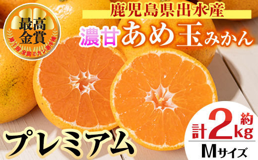 i1059-B ＜先行予約受付中！2025年11月中旬〜2026年1月下旬の間に発送予定＞【特別栽培・最高金賞】温州みかん日本一！濃甘あめ玉みかん〜プレミアム 極み〜(約2kg・Mサイズ) みかん 蜜柑 ミカン 柑橘 果物 フルーツ 果実 国産 鹿児島 プレミアム 厳選 ギフト プレゼント 贈答用 贈り物 【Farmer friends Marche】