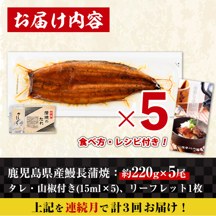 i1176-A ＜定期便・計3回(連続月)＞＼特大サイズ／鹿児島県産 うなぎ蒲焼 5尾セット ＜（約220g×5・計約1100g）×全3回＞ 定期便 たれ 山椒付きうなぎ 鰻 ウナギ 特大 特大サイズ 約220g 蒲焼き 国産 鹿児島県産 焼きたて 生産量日本一 真空パック おかず 晩御飯 特別な日 土用の丑の日 【薩摩川内鰻】