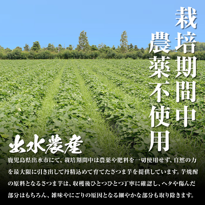 i910 ïŒå®æäŸ¿ã»èš3å(é£ç¶)ïŒ é¹¿å
å³¶éå® èçŒé
é£²ã¿æ¯ã¹ã»ããïŒ 6éæÃå900mlÃ3å èš18æ¬ïŒãé
èäžæµŠå±ã