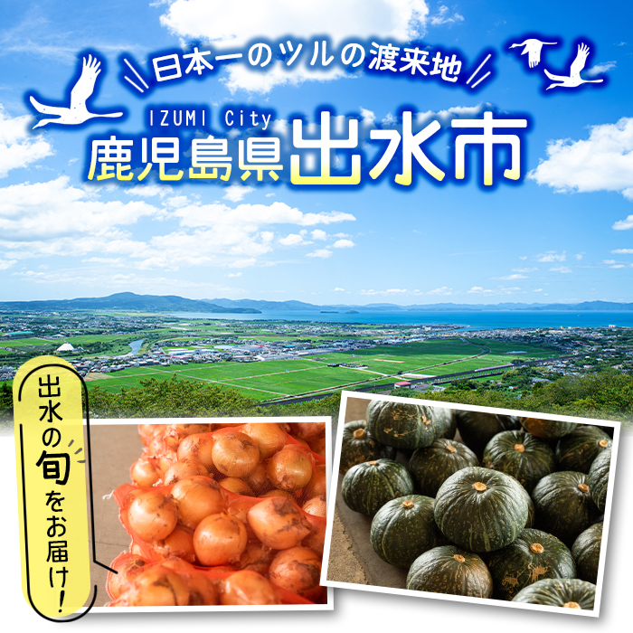 i460 旬の野菜・果物おまかせセット(8〜10種類)ツルの恩返し野菜セット！鹿児島県出水市より国産野菜を市場直送！【出水市出水駅観光特産品館 飛来里】