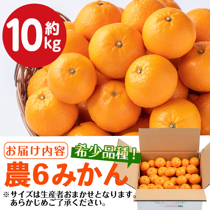 i593-m 【母の日ギフト】農6みかん(約10kg) 果物 フルーツ 柑橘 国産 鹿児島県産 みかん 蜜柑 母の日 プレゼント ギフト 贈答 【江崎果樹園】